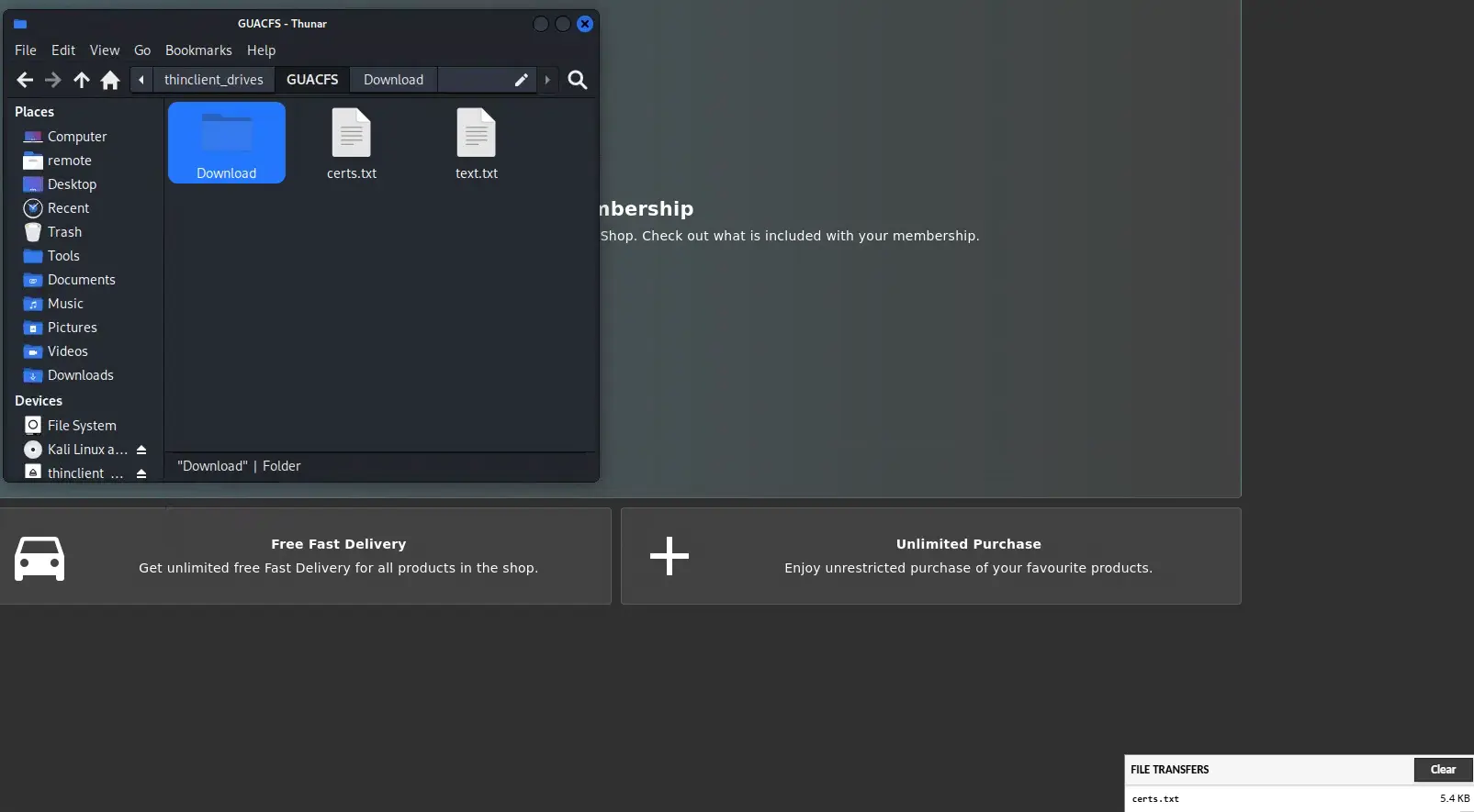 File Transfer
