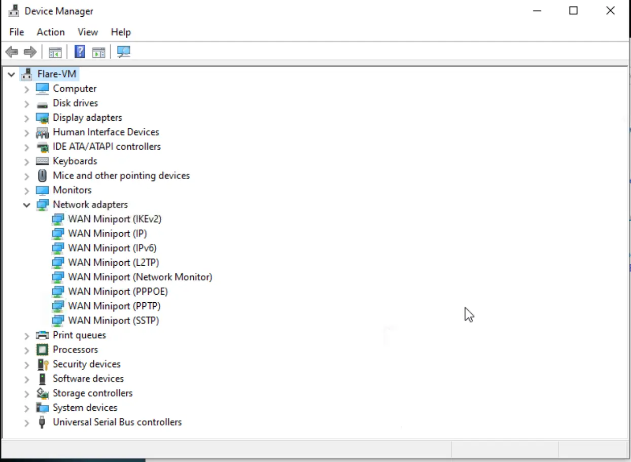 Flare No Network Adapters