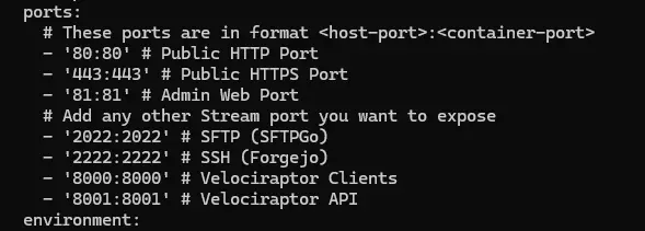 NPM Docker Ports