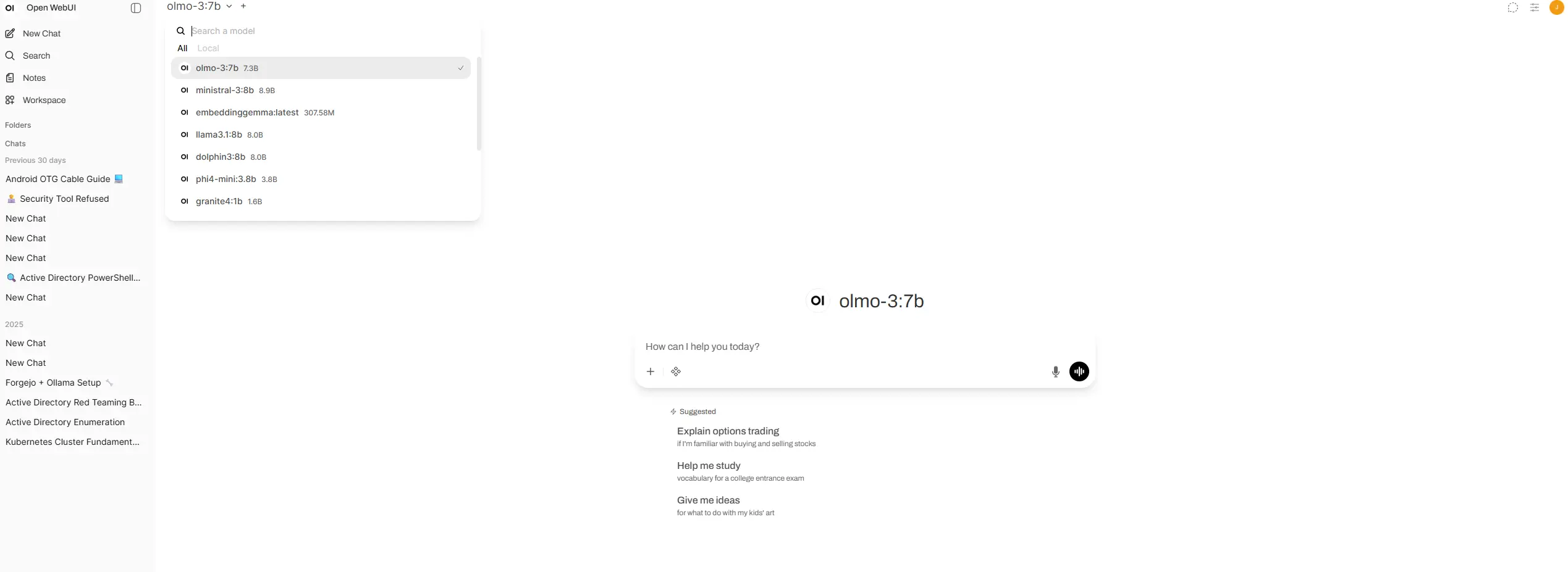 Local AI Chat Interface