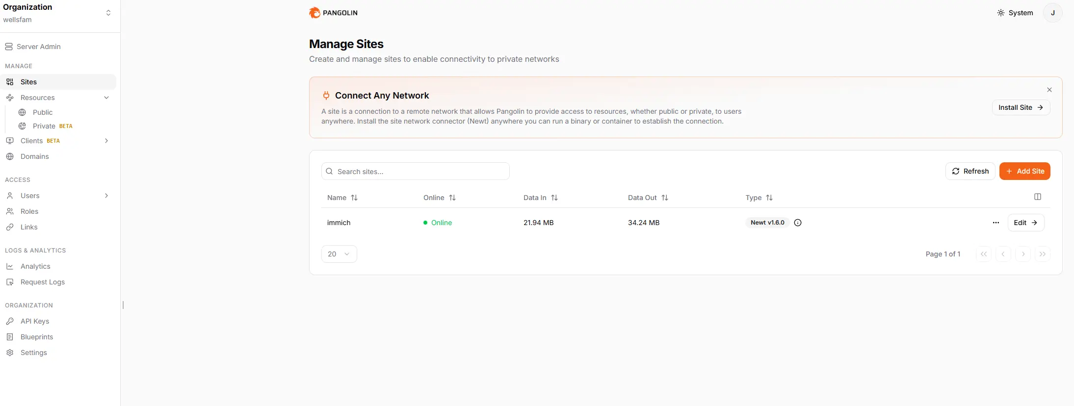 Reverse Proxy & Remote Access
